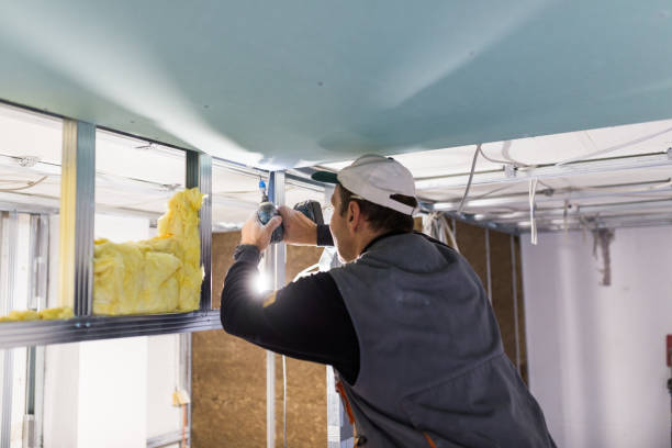Best Insulation Contractors for Homes  in Lapeer, MI