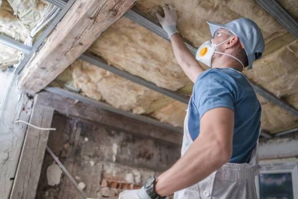 Trusted Lapeer, MI Insulation Contractor Experts